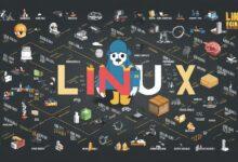 The History and Evolution of Linux