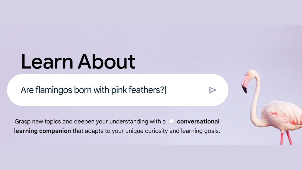 Google ‘Learn About’ Experimental AI Tool With Educational Style Responses Released